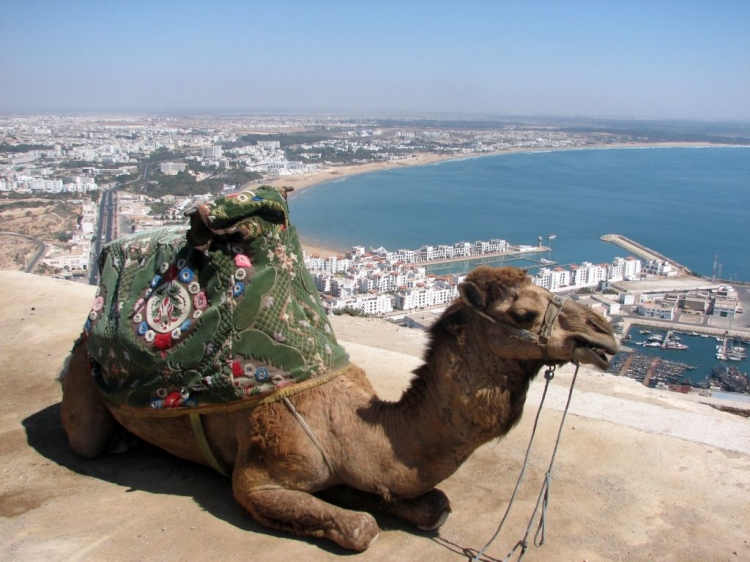 Agadir : Léger mieux pour le tourisme 